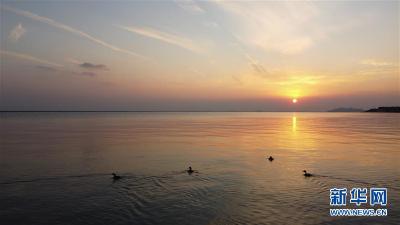 大湖见证——长三角三大淡水湖绿色发展之路