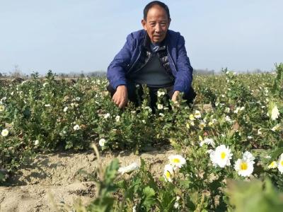 昔日贫困村 今朝幸福园——我市农村人居环境整治之黄脑村  