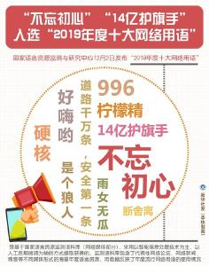 2019年度十大网络用语：“硬核”“996”入选