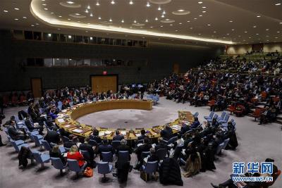 安理会敦促所有联合国会员国恪守《联合国宪章》