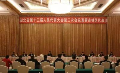 吴祖云龚定荣舒敏参加省十三届人大三次会议直管市、林区代表团全体会议 审议省人大常委会及法检“两院”工作报告