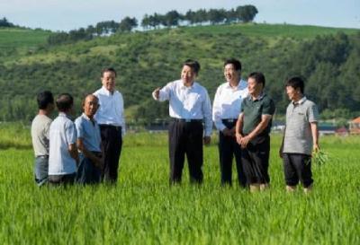 习近平总书记关切事｜决战决胜在今年——各地积极推进脱贫攻坚