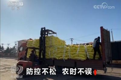 春耕备耕情况怎么样？跟记者去田间地头看看