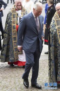 英国王储查尔斯新冠病毒检测呈阳性