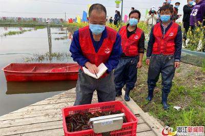 2020年潜江龙虾正式开捕