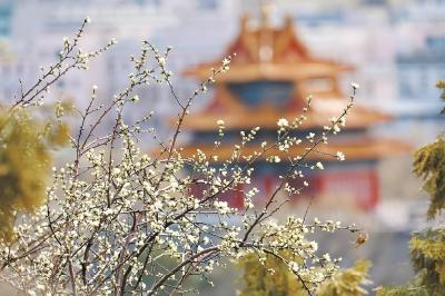 600年故宫直播中揭“玄机”