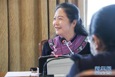 “想不到这么快就收到了答复”——国家发改委“连线”人大代表小记