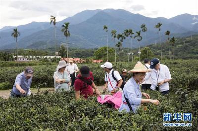 疫情趋缓 花莲旅游期待转机