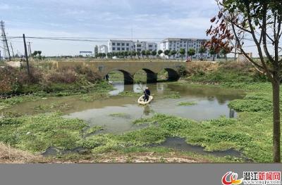 龙湾镇：街头新气象 河渠新景观