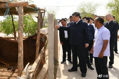 习近平宁夏考察，这张照片刷屏了