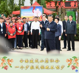 “一个少数民族也不能少”——记习近平总书记在宁夏考察脱贫攻坚奔小康