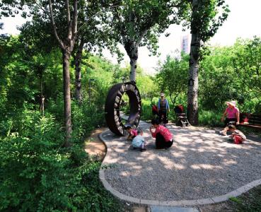 瞭望丨一棵树“身价过亿”背后的历史账单