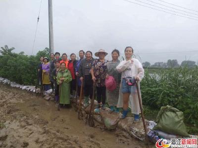 白鹭湖：全面打响防汛救灾阻击战