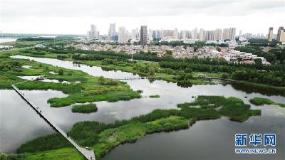 走向我们的小康生活丨水清、地绿、空气新——最北省份黑龙江绘就生态治理新画卷