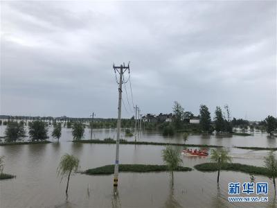 2860条生命·166面党旗·77座庄台——安徽阜阳沿淮行蓄洪区启用背后的“三组数字”