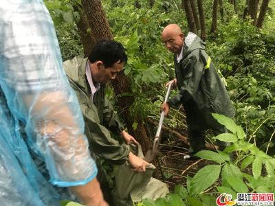 老新镇全员上阵防大汛抢大险