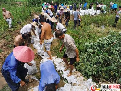 张金镇：奋战3小时，干群合力战险情