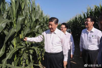 “一直关注”，习近平对这一地区连作部署