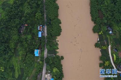 习近平总书记关切事丨战洪魔 保安全