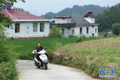 青春，在希望的田野上——大别山区寻访“城归”大学毕业生