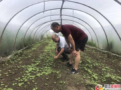 不等不靠 重播希望--周矶管理区灾后生产自救见闻