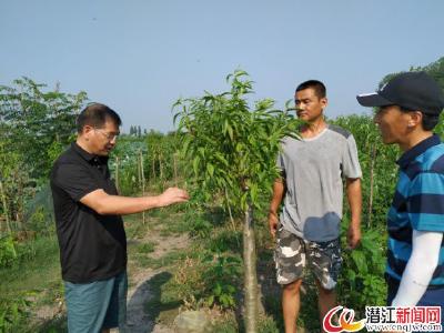 白鹭湖管理区开展高效农业“比武”促增收