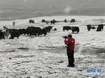 草地生态专家赵新全：情深不舍三江源