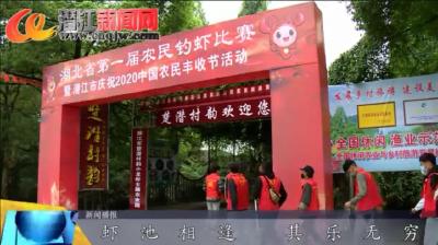 视频 | 虾池相逢 其乐无穷