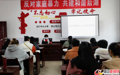 后湖开展反家暴“三进”宣传活动