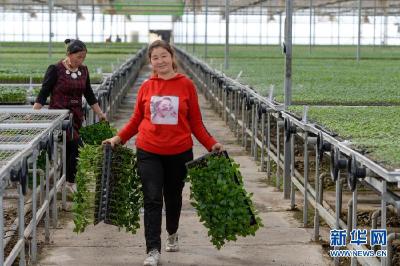 告别千年苦寒 共圆小康梦想——新疆万里边境上的脱贫纪实