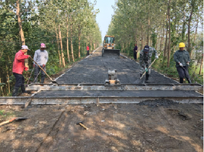 张金镇：民生工程建设惠民生暖民心