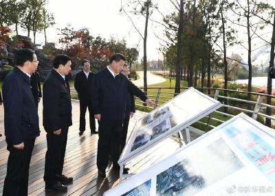 习近平：生态文明建设在推动长三角一体化发展中占有重要地位