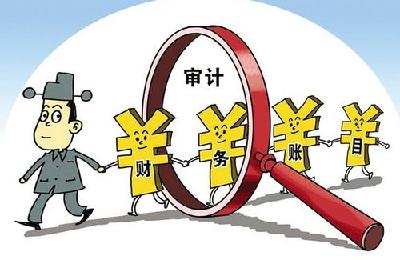 上缴国库、退还税费……今年已整改审计查出问题金额2000多亿元