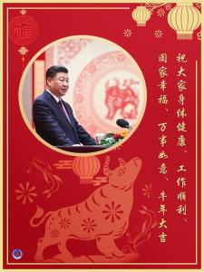中共中央国务院举行春节团拜会 习近平发表讲话