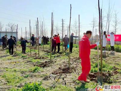 周矶管理区：新春添新绿 义务植树忙