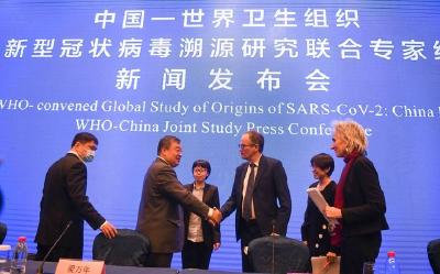 世卫专家再发声批评西方媒体抹黑中国：武汉之行成果超预期