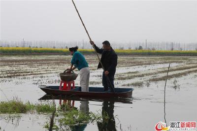 白鹭湖:2021年实现“大养虾”到“养大虾”的转变