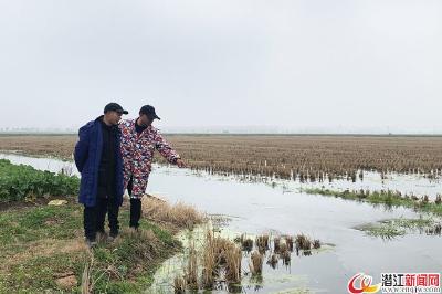新春走基层|庞礼港:勤劳铺就致富路 期盼牛年更美好