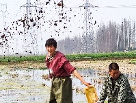 又是一年春光好 潜江人民奋斗再起航