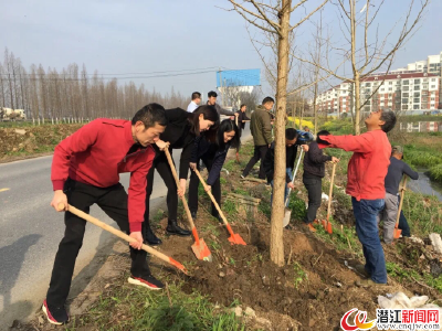 广华寺街道办事处开展植树节活动