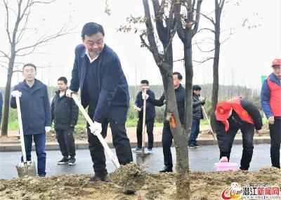 吴祖云来到兴盛路东延路段义务植树