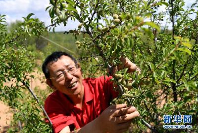 习近平总书记关切事｜一诺一青山