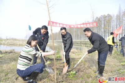 市检察院组织开展义务植树活动