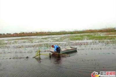 运粮湖不断做大潜江龙虾“朋友圈”