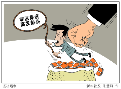 除了“遛狗要系绳”，5月1日起这些法规也开始施行 