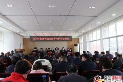 杨市街道召开党史学习教育动员会