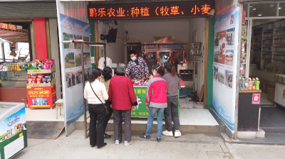 视频 | 念好“养牛经” “犇”上致富路