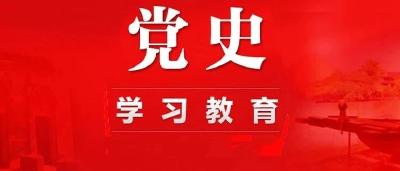 老新镇创新工作模式 助力党史学习教育走深走实