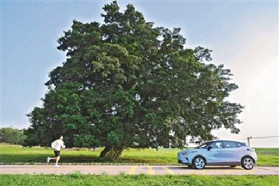 旅游博主总数已超过10万人 只需走出去就能“躺赢的人生”吗？