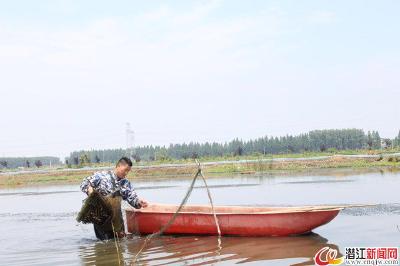白鹭湖：供求倒逼转型 推陈出新“养大虾”